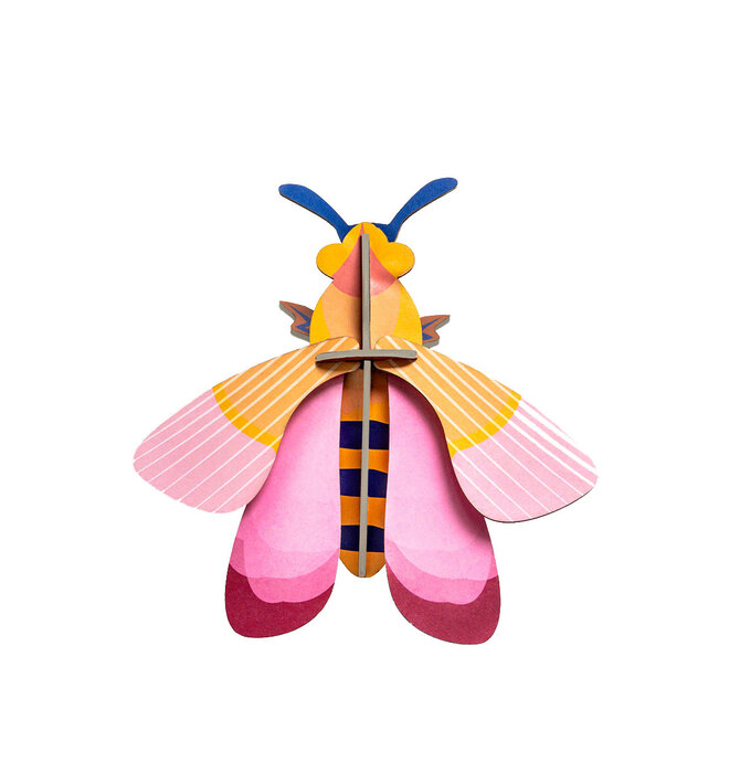 3D Insect Puzzle | Small Bee