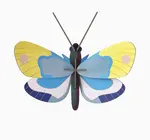 3D Insect Puzzle | Small Butterfly