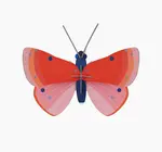 3D Insect Puzzle | Small Butterfly