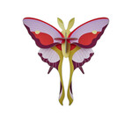 3D Insect Puzzle | Small Butterfly