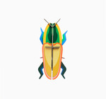 3D Insect Puzzle | Small Beetle