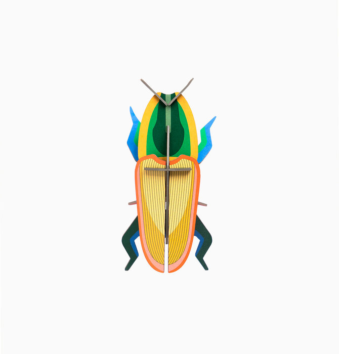 3D Insect Puzzle | Small Beetle