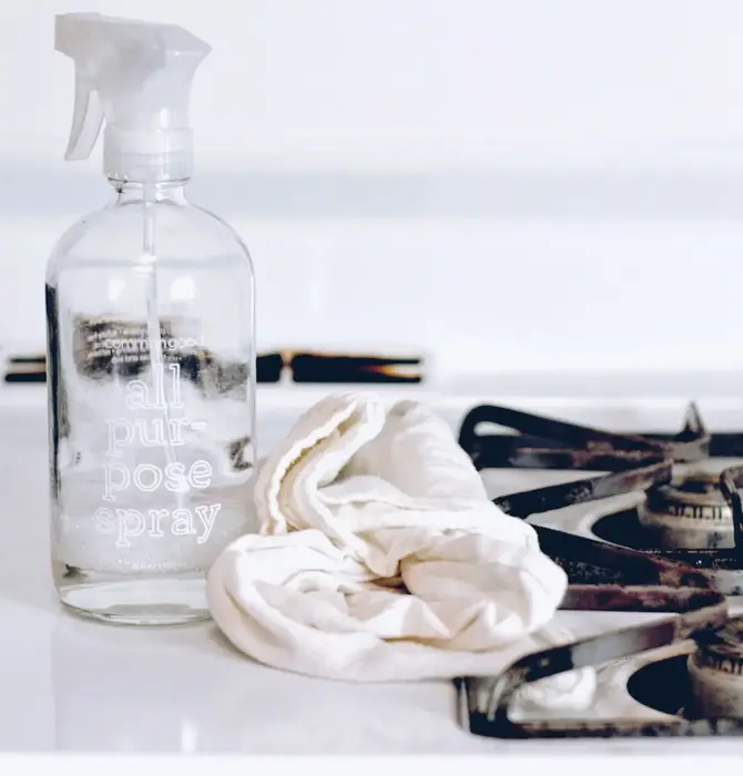Glass Spray Bottle | All Purpose | 16oz