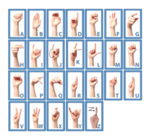 Toy | Flash Cards Wooden | Sign Language