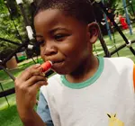 Lip Balm | "Lil' Poppies"