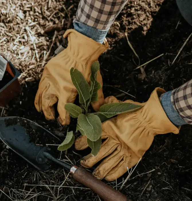 Gloves | Classic Leather Work | Yellow