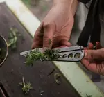 Tool | Herb Harvest & Stripper | Tumbled Steel