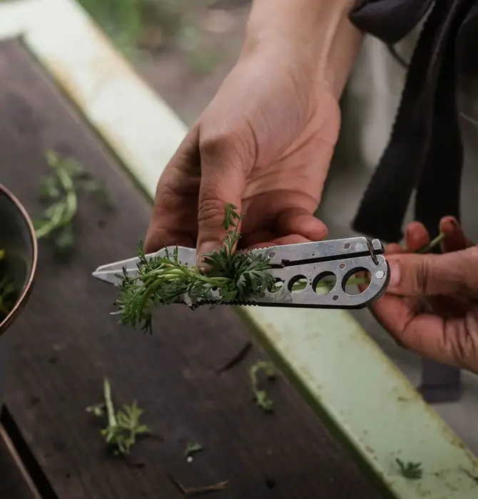 Tool | Herb Harvest & Stripper | Tumbled Steel
