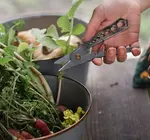 Tool | Herb Harvest & Stripper | Tumbled Steel