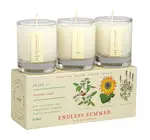 Candle | Votive Trio | Endless Summer