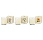 Candle | Votive Trio | Endless Summer