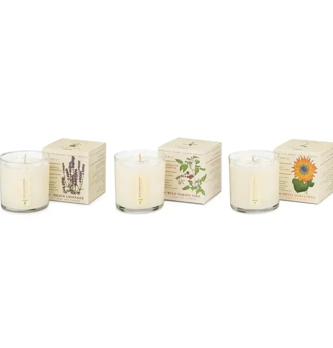 Candle | Votive Trio | Endless Summer