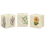 Candle | Votive Trio | Endless Summer