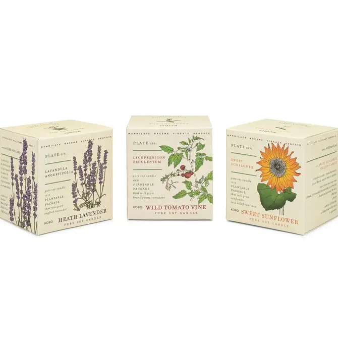 Candle | Votive Trio | Endless Summer