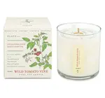 Candle | Wild Tomato Vine | Plant the Box