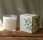 Candle | Wild Tomato Vine | Plant the Box