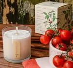Candle | Wild Tomato Vine | Plant the Box