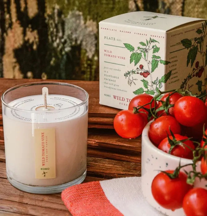 Candle | Wild Tomato Vine | Plant the Box