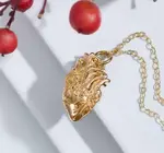 Necklace | Flat Anatomical Heart | Bronze Gold Filled