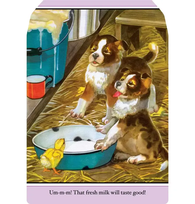 Book | Farm Babies