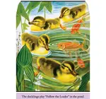 Book | Farm Babies
