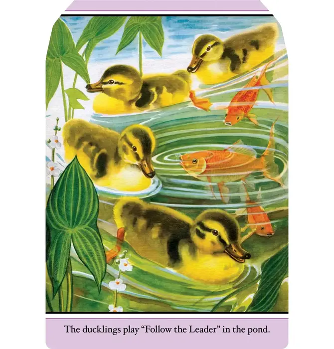 Book | Farm Babies