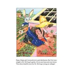 Board Book | Peter Rabbit