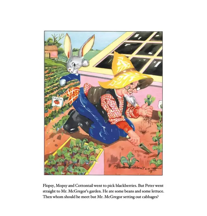 Board Book | Peter Rabbit