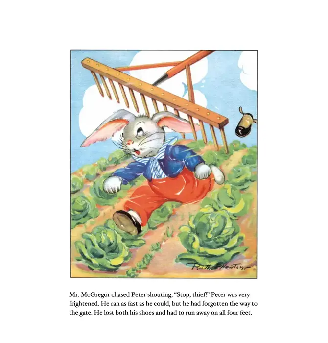 Board Book | Peter Rabbit