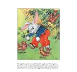 Board Book | Peter Rabbit