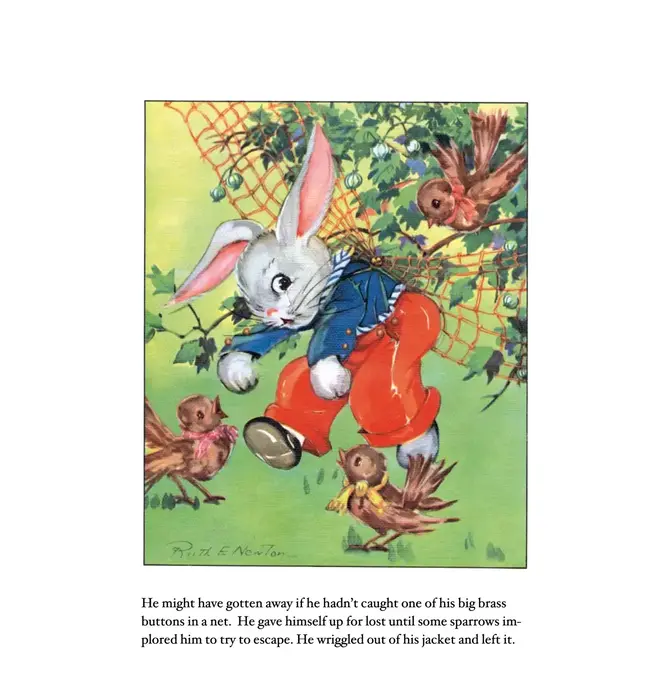 Board Book | Peter Rabbit