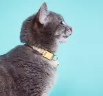 Cat Collar | Breakaway