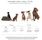 Dog Collar | Martingale | Merlot + Lilac
