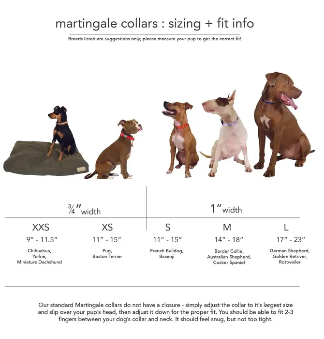 Dog Collar | Martingale | Merlot + Lilac
