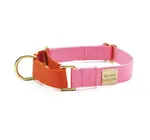 Dog Collar | Martingale | Pink + Orange