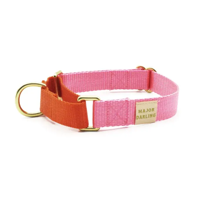 Dog Collar | Martingale | Pink + Orange