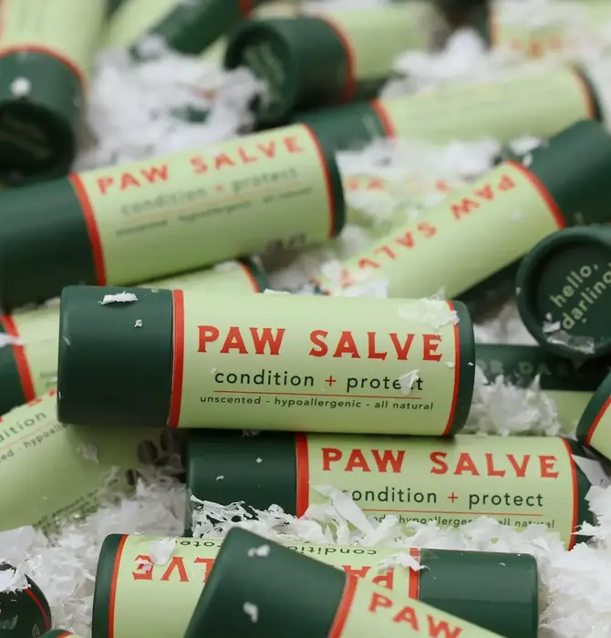 Salve Stick | Dog Paw