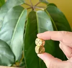 Dice Set | Brass | Really Nice