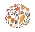 Art Print | Oklahoma Season
