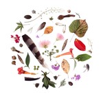 Art Print | Oklahoma Season