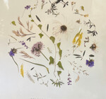 Art Print | Oklahoma Wildflowers