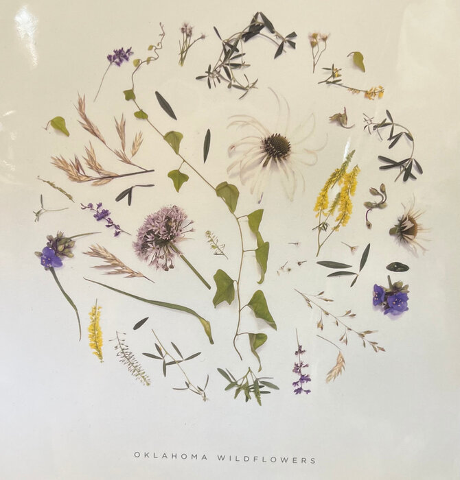 Art Print | Oklahoma Wildflowers