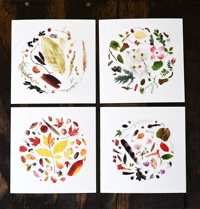 Art Print | Oklahoma Season