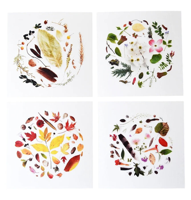 Art Print | Oklahoma Season