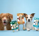 Dog Toy | Betterbone Medium Durable | Beef Flavor
