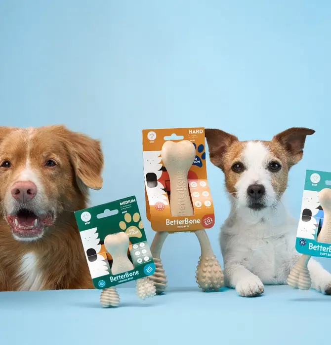 Dog Toy | Betterbone Medium Durable | Beef Flavor