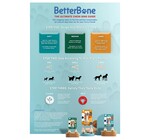 Dog Toy | Betterbone Medium Durable | Beef Flavor