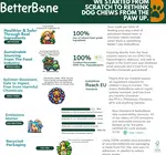 Dog Toy | Betterbone Medium Durable | Beef Flavor