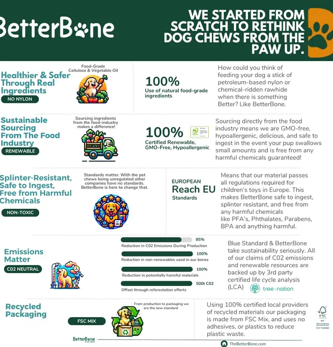 Dog Toy | Betterbone Medium Durable | Beef Flavor