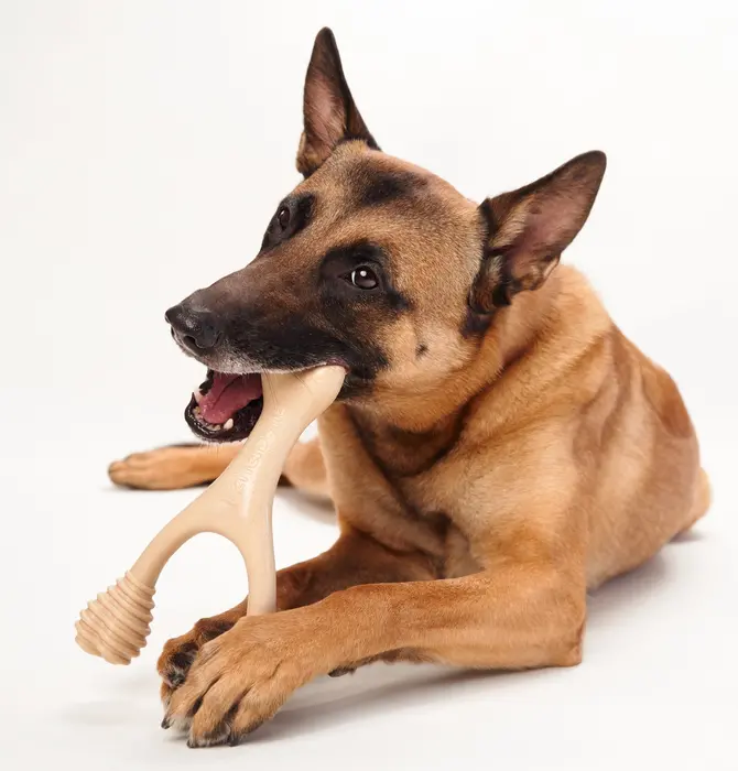 Dog Toy | Betterbone Medium Durable | Beef Flavor